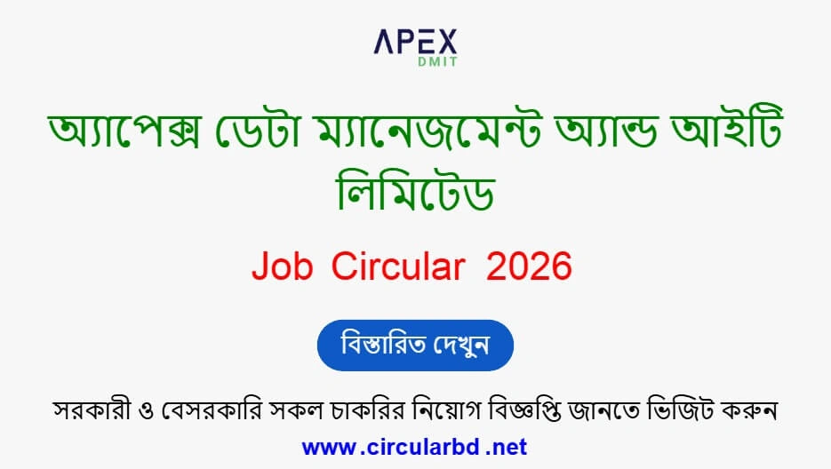 Apex Job Opportunities 2026