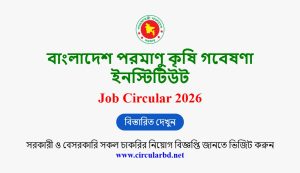 BINA Job Opportunities 2026